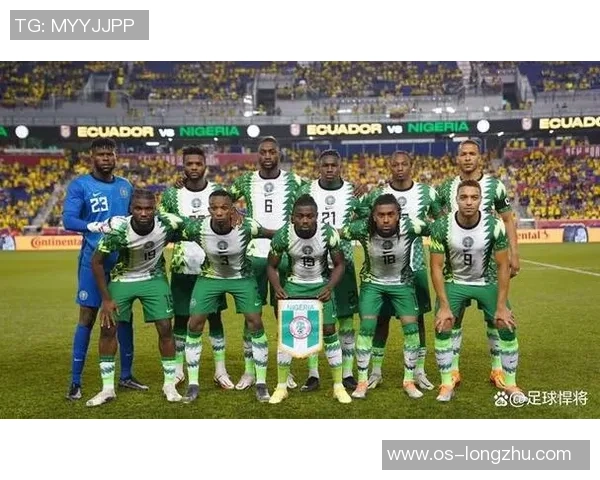 尼日利亚与俄罗斯的较量：足球场上的激情与荣耀之战